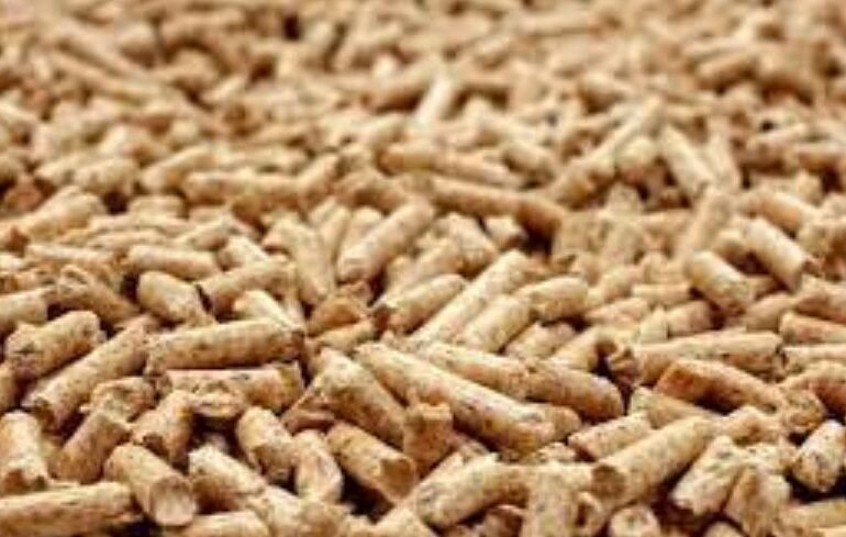 Gloucestershire’s Green Growth: Wood Pellet Production Soars
