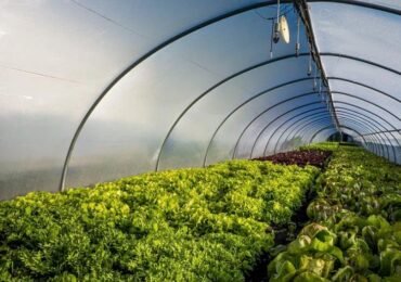 AI Applications in Farming: How Technology Can Help Solve Hunger