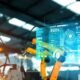Trossen Robotics Hardware Featured in 60 Minutes' DeepMind AI Story