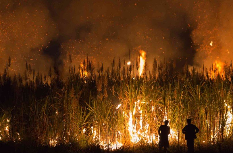 sugarcane burning pollution Thailand