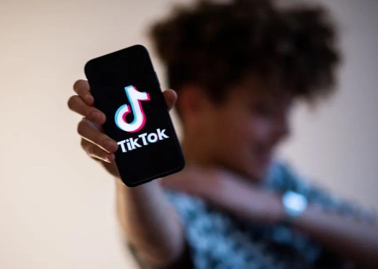 TikTok malware scam screenshot computer