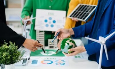 Transforming Business Education to Tackle Global Challenges with Sustainability and Innovation