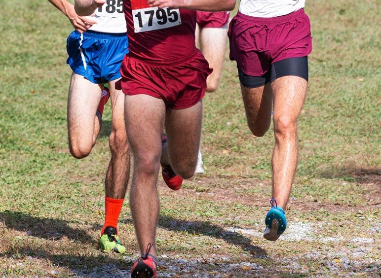 high school cross country race