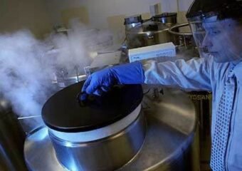 cord blood storage facility