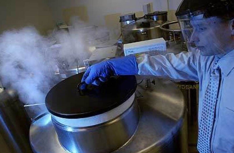 cord blood storage facility