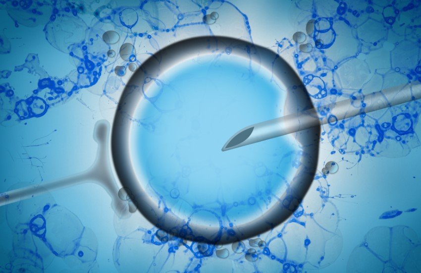 fertility technology device