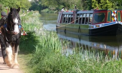 Devon Horse-Drawn Barge Business Up for Sale