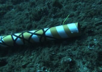 undersea cables
