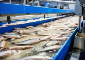 fish processing factory