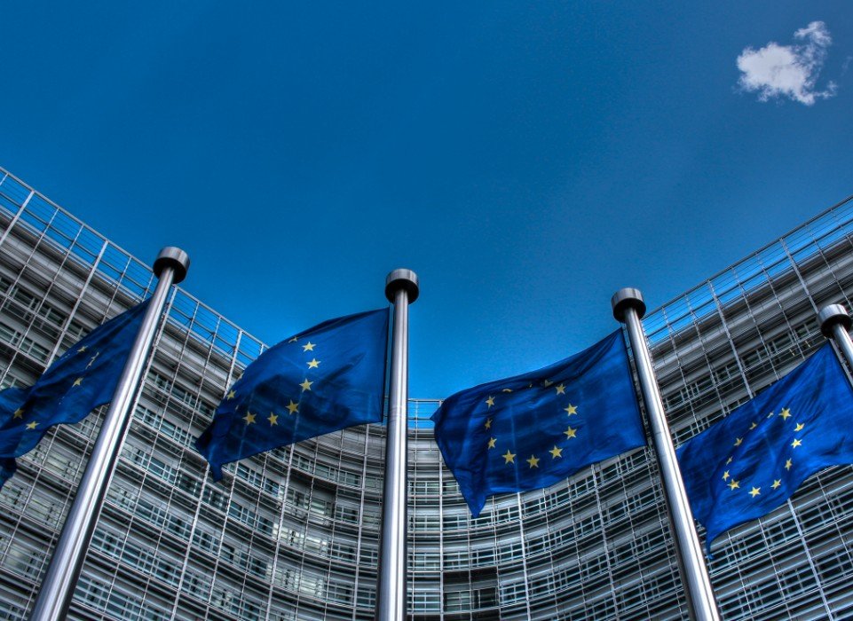 european union flags