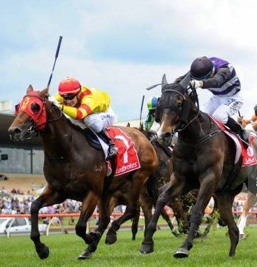 Recruitment horse racing