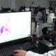 China Pushes Further Ahead in Tech Race as Xi Calls for ‘Scientific Dominance’