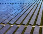 perovskite solar technology licensing partnership