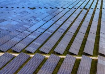 perovskite solar technology licensing partnership