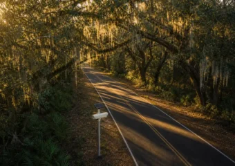 Leon County Flock license plate camera grant vote ICE access fears