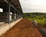 Tay Ninh Vietnam high-tech agriculture investment merger delays
