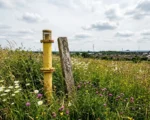 Warrington former tip sites registered as biodiversity habitat banks