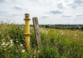 Warrington former tip sites registered as biodiversity habitat banks