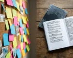 Google Keep colorful cards versus Simplenote plain text freeze