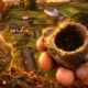 Lismore dig finds Saint Mo Luóc gold workshop